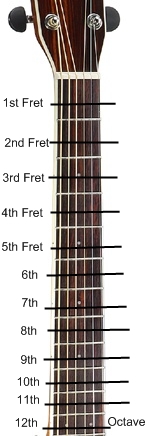 fret numbers